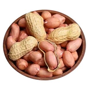 生带壳花生新货晒干带壳新鲜花生果原味白沙带皮高产薄壳种籽子