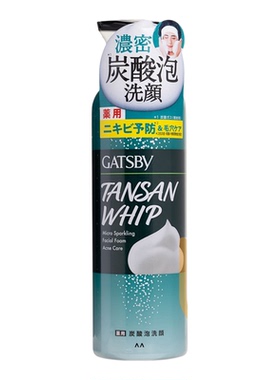 Gatsby男士超微细炭酸洗面泡泡200g痘痘肌绿色瓶装去油清爽进口版