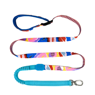 HiDREAM狗狗牵引绳小型犬防爆冲宠物牵引带腰牵斜挎解放双手狗绳