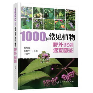 1000种常见植物野外识别速查图鉴  图解中草药大全 家庭图书籍野外识别原植物鉴别图册中国常用手册 图识别与应用图典图谱