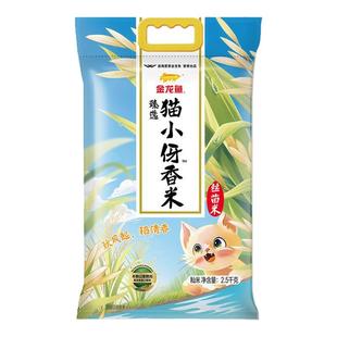 金龙鱼臻选猫牙香丝米2.5kg袋装家用5斤米丝苗米籼米长粒香大米