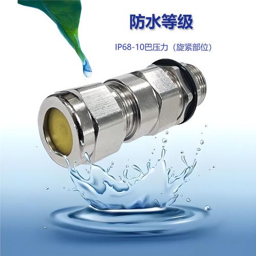 铠装防爆格兰头黄铜镀镍电缆IP68接头填料函螺纹船用电缆接头双头