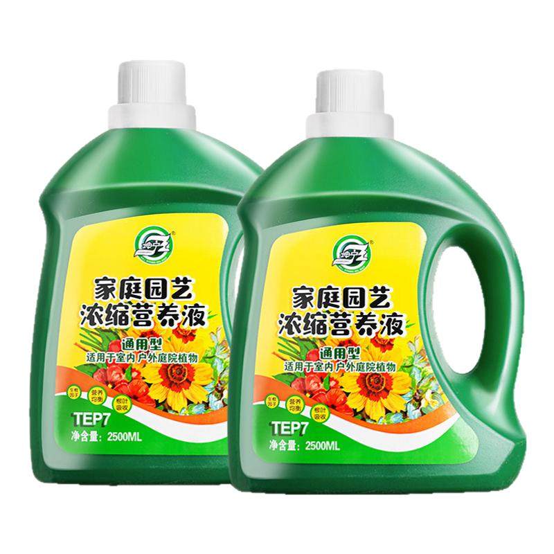 植物发财树富贵竹绿萝营养液