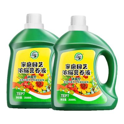 植物发财树富贵竹绿萝营养液