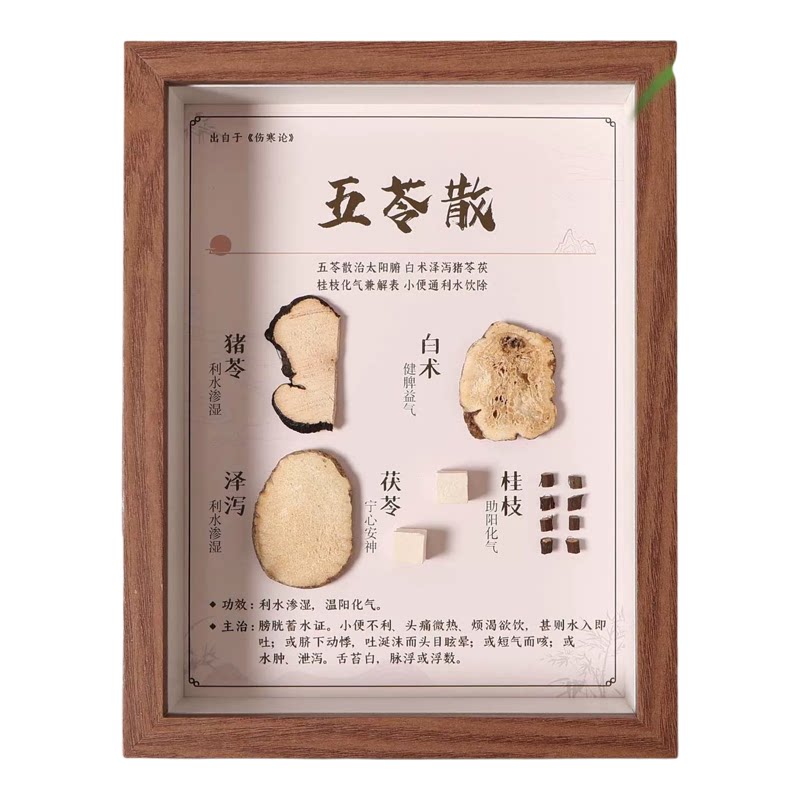 中医馆方剂中药标本相框