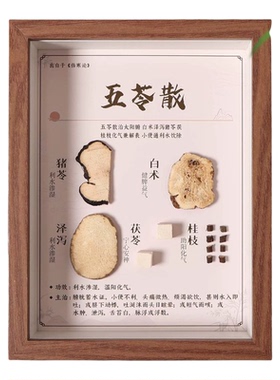中医馆方剂中药标本相框