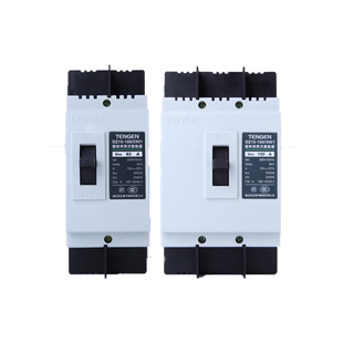 TENGEN天正电气 DZ15-100/3901 2901 100A 63A塑壳断路器空气开关