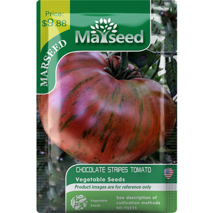 【MARSEED火星家】传家宝Chocolate巧克力条纹番茄种子