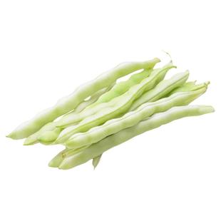 摘不败白不老九粒白芸豆种子苗秧四季豆豆角种籽架豆蔬菜孑豆角苗