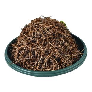 纯松针土君子兰专用通用型蓬松透气发酵腐殖营养土疏松腐叶酸性土