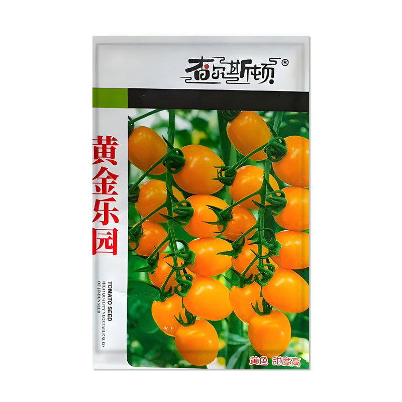 查尔斯顿黄金乐园番茄种子