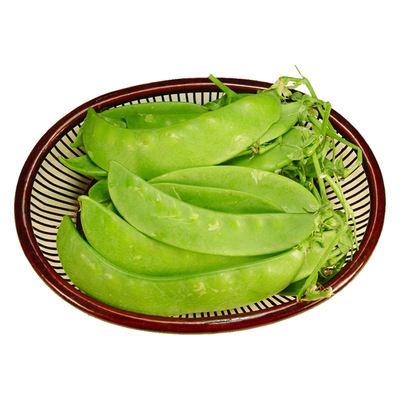 大荚荷兰豆种子耐寒豌豆籽种四季