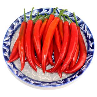 现摘微辣新鲜红辣椒美人椒海椒杭椒泡椒尖椒椒酱剁椒二荆条线批发