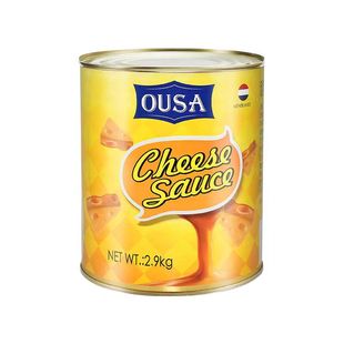 荷兰进口OUSA墨西哥风味切达奶酪酱2.9kg桶车达芝士酱意面欧萨正