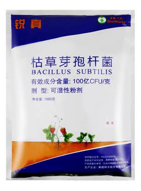 美国拜沃 锐真100亿枯草芽孢杆菌人参立枯病草莓白粉病农药杀菌剂