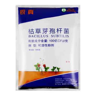 美国拜沃 锐真100亿枯草芽孢杆菌人参立枯病草莓白粉病农药杀菌剂