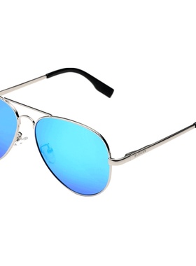 墨镜偏光男士个性风司机镜