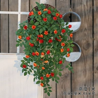 Настенная подвеска «Бутон Виктории», оранжевая (входит в корзину для фрисби)