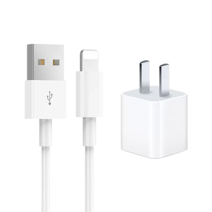 适用于苹果SE第1代充电器线5W电源适配器A1662A1723A1724插头iPhone8plus手机6splus7正品数据线一套装5C大头