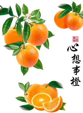 客厅墙面遮丑3d立体花装饰墙贴画喜上眉梢美化自粘墙贴纸墙画防水