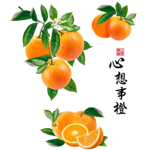 客厅墙面遮丑3d立体花装饰墙贴画喜上眉梢美化自粘墙贴纸墙画防水