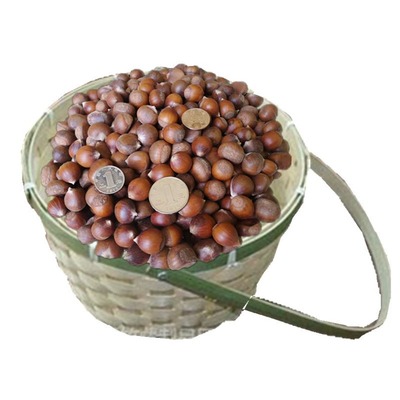 迁西板栗野生毛栗子满11元减10元