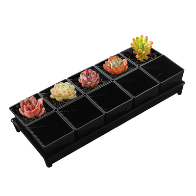 美莳多肉控根花盆透气塑料组合