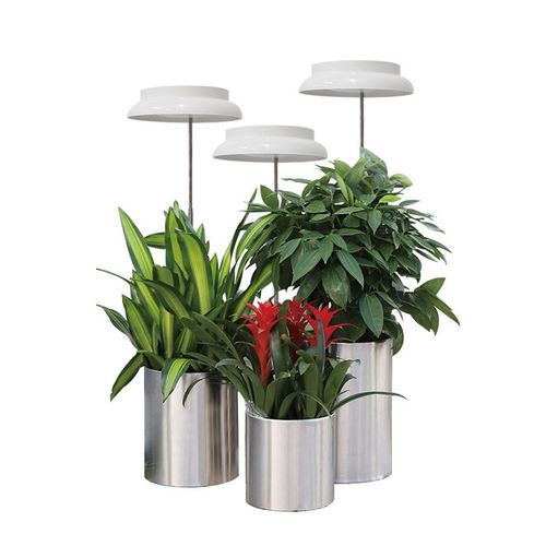 LED伸缩植物生长灯定时植物多天使环花卉室内灯肉光谱花架全盆栽