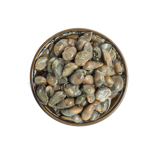 宁波特产上海风味醉泥螺 陆龙兄弟家宴4A黄泥螺 个大1800g大桶装