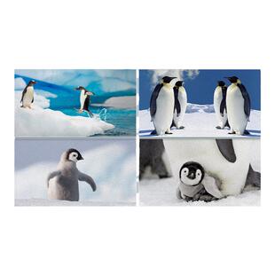 「冰川系列」在冰川屹立的南极穿越赤道贴近你明信片艺术贺卡企鹅