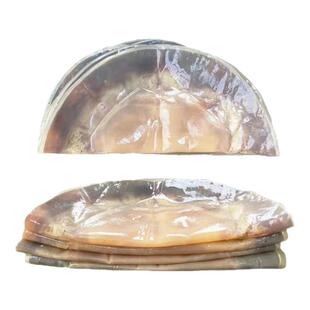 当季新鲜正宗舟山野生海蜇干皮整张净重特级提干红太阳海蜇皮凉拌