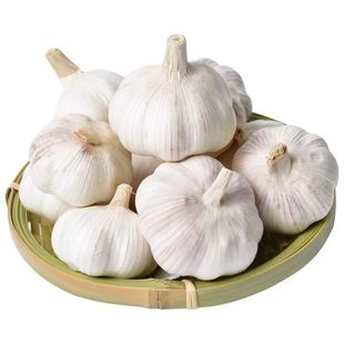 农家新干蒜5斤新干蒜大蒜头0.4斤起紫白皮大蒜河南杞县农家自种