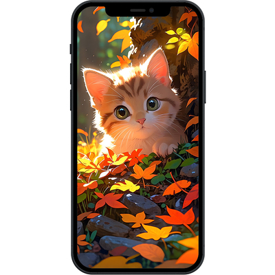 秋意橘猫落叶萌系治愈8K壁纸iphone苹果安卓手机电脑ipad平板壁纸