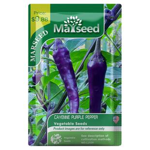 【MARSEED】进口Cayenne Purple Pepper 紫色卡宴辣椒种子籽孑苗