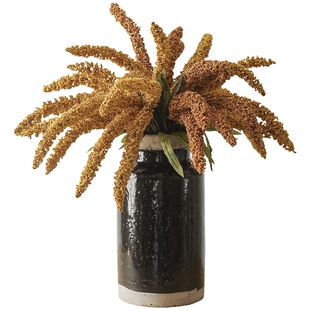 掬涵仿真谷穗猫尾谷干花果实田园艺术装饰插花客厅摆设拍摄道具