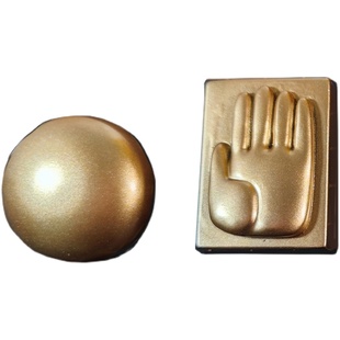 JOJO的奇妙冒险空条承太郎漫画家之手cos帽子徽章定做树脂3D打印