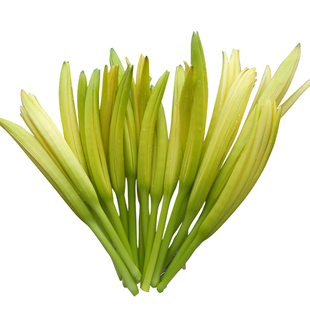 冲里花正品食用黄花菜种子种苗根金针菜忘忧草萱草多年生100株