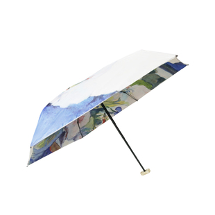 双层五折伞遮阳伞迷你高颜值防晒防紫外线女小巧便携双面花两用