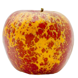 2025正宗云南昭通糖心丑苹果新鲜水果现摘当季整箱富士非大凉山