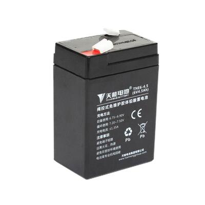 天能童车电池持久畅玩