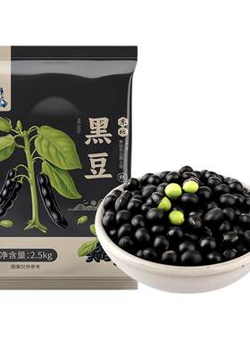 东北黑皮绿芯黑豆可打豆浆