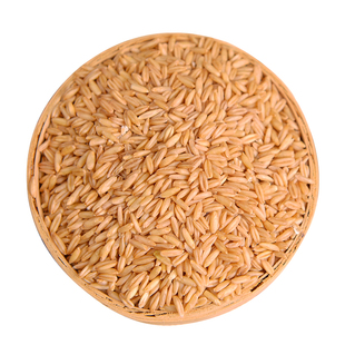 燕麦米东北当季纯新米粮裸麦农家五谷杂粮粗粮全胚芽米5斤家庭装