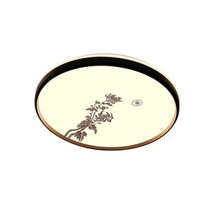 上门包安装新中式led吸顶灯卧室灯现代简约房间走廊阳台过道灯具