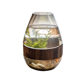 创意小型圆形玻璃鱼缸加厚微景观鱼缸小号斗鱼缸热带鱼缸桌面鱼缸