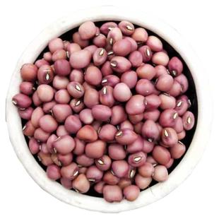 无蔓红豇豆种子煮饭蒸豆包杂交种子春季五谷杂粮熬粥打豆浆香甜味