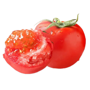 西红柿新鲜自然熟生吃的老品种水果草莓番茄铁皮柿子熊蜂有籽沙瓤