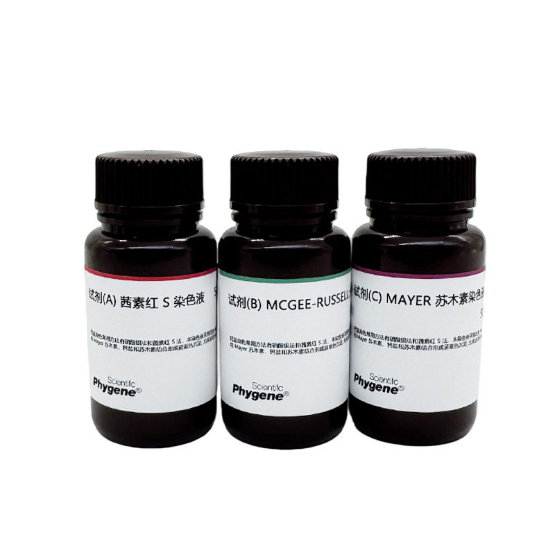 钙盐染色液 (改良茜素红S法) 钙盐组织染色 [PH1293A PHYGENE]