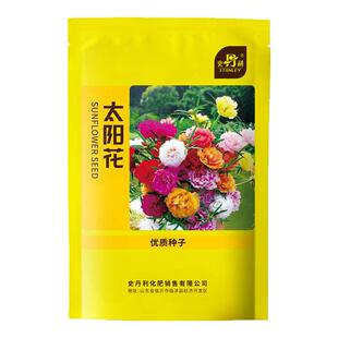 史丹利重瓣太阳花种子籽大花一年四季开花播种特大号盆栽单瓣混色