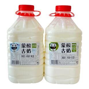 不添加蔗糖内蒙古鄂尔多斯阿恋发酵老纯酸奶浓稠可做希腊干噎酸奶