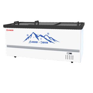 扬子冰柜卧式冷柜冷藏冷冻岛柜商用卧柜速冻大容量冰箱保鲜展示柜